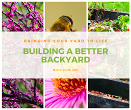 Read more about the article Backyard Symposium Coming Soon