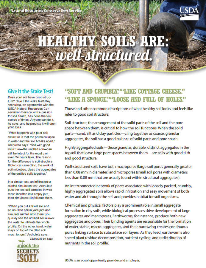Read more about the article Healthy Soils Are: Well Structured