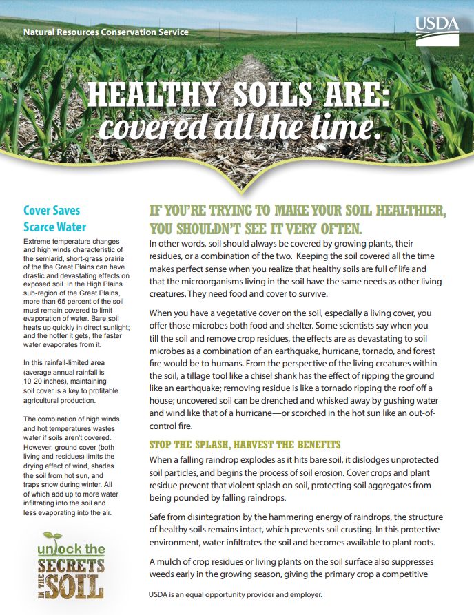 Read more about the article Healthy Soils Are: Covered all the Time