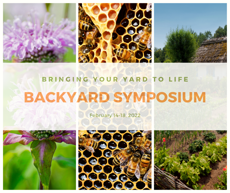 You are currently viewing 2022 Backyard Symposium