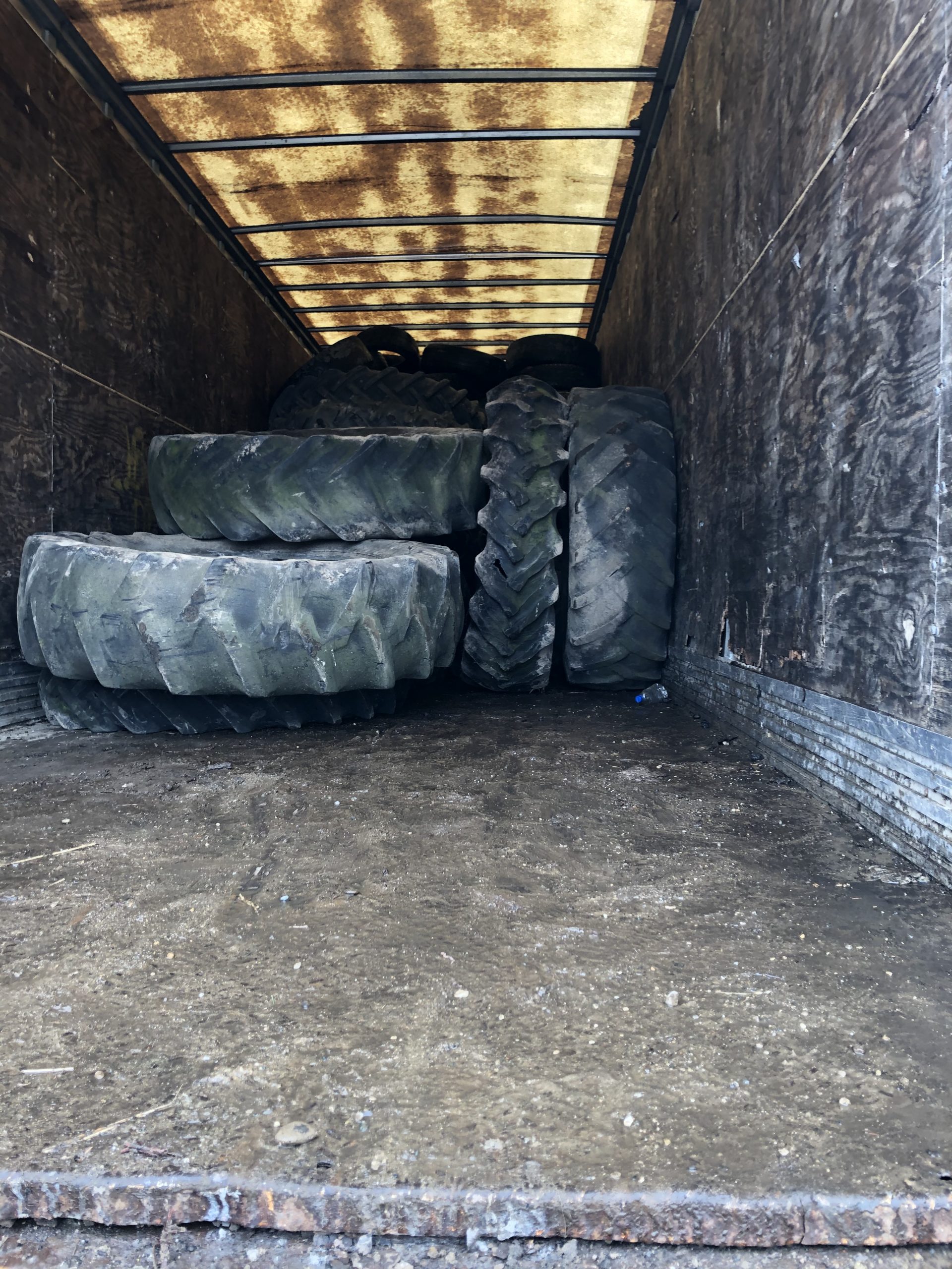 You are currently viewing Large Tire Collection: Paw Paw